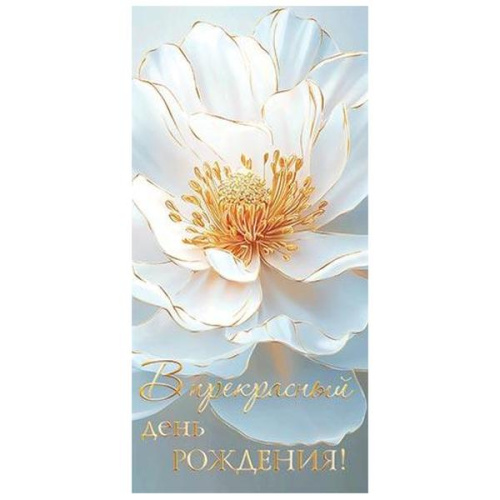 2-17-1736 Конверт для денег В прекрасный день рождения! 2-17-1736 Конверт для денег В прекрасный день рождения!