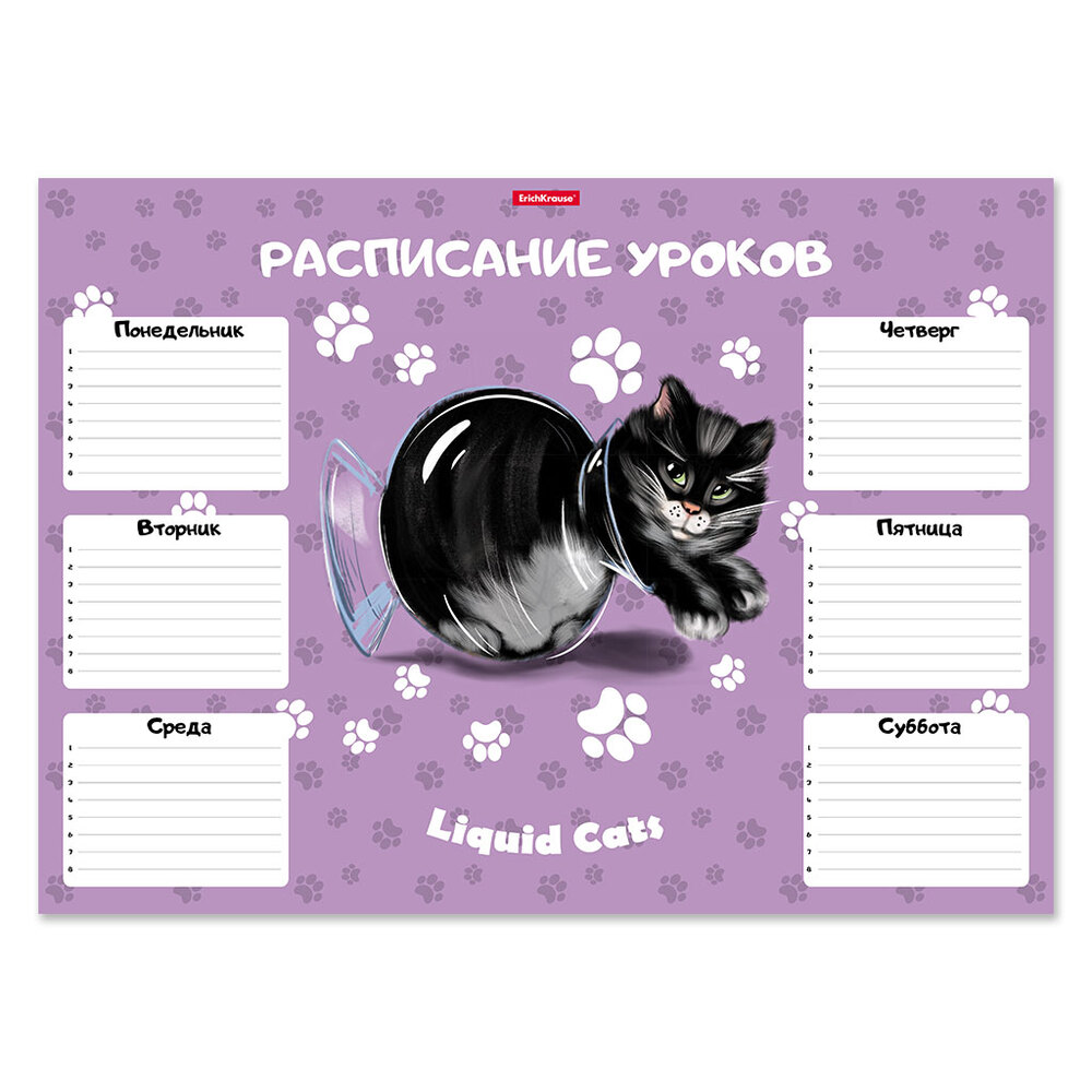 Расписание уроков А3 ErichKrause Жидкие коты 58299