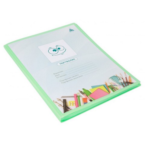 Портфолио-папка с 40 карм. Бюрократ 1014884