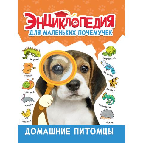 Энциклопедия для маленьких почемучек Домашние питомцы Энциклопедия для маленьких почемучек Домашние питомцы