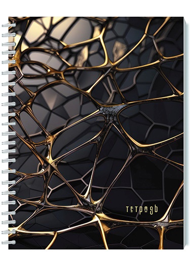 Тетрадь 48 л. (спираль) Апплика Золотая паутинка С0245-141