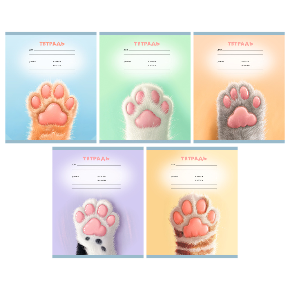 Тетрадь 18 л. (линия) К-Э Котолапки ТЛЛ189609