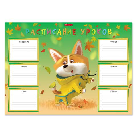 Расписание уроков А3 ErichKrause Корги 53169