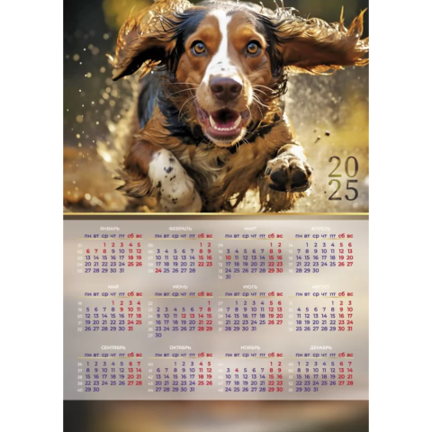 Календарь А3 2026 Собака 9661