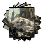 Тетрадь 48 л. (клетка) ErichKrause Big City Cats 63317