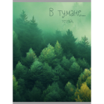 Тетрадь А4 48 л. (клетка) К-Э Зеленая туманность Т4485104