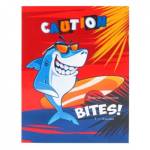 Дневник мл. кл. П-П Пляжная акула Д48-0713 интегр.