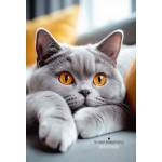 Блокнот-бизнес А5 120л. П-П Серый пушистый котик-2 120-8611