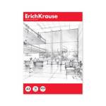 Папка для черчения А3 10 л. 200 гр. ErichKrause 53136 РАСПРОДАЖА