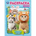 Раскраска А4 Модные коты 16 стр. Умка