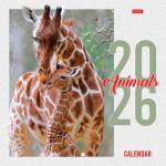 Календарь настенный перекидной 216х216 мм Animals 12Кнп5_33723 2026