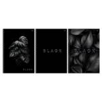 Тетрадь А4 96 л. (спираль) БиДжи Just black soft-touch выб. лак Т4гр96_лс_вл 08659