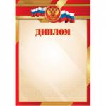 Диплом эконом 5027