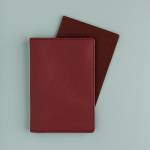 Обложка д/паспорта Бордовый 3-619/12
