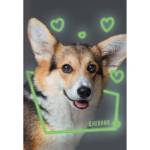 Дневник ст.кл. К-Э Домашние любимцы Дизайн-3 ДДЛ244803