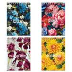 Блокнот А6 80 л. (спираль) БиДжи Цвет настроения Б6гр80 59761