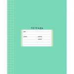Тетрадь 12 л. (клетка) БиДжи Школьная зеленая Т5ск12 54498 /16