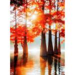 Деревянный пазл 110 дет. Кипарисовое озеро 28,8*20,2 см MPZCF3-M