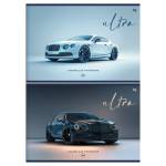 Альбом д\рис. 40 л. БиДжи Ultra мел.карт. АР4ск40_вл 08622