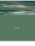Тетрадь 48 л. (линия) П-П Nature Литература 48-9855