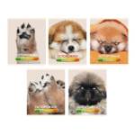 Тетрадь 48 л. (клетка) К-Э Осторожно, щеночки ТК488352