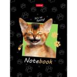 Блокнот-бизнес А6 80 л. Хатбер КотЭлло 80ББ6В1_25133