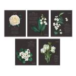 Тетрадь 48 л. (клетка) К-Э В ботаническом саду ТКФЛ488405