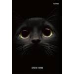 Блокнот-бизнес А5 160л. П-П Взгляд кота 160-1704