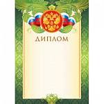 9-19-047А Диплом РФ