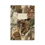 Тетрадь 40 л. Bruno Visconti Fauna Волшебные совы клетка 7-40-001/147