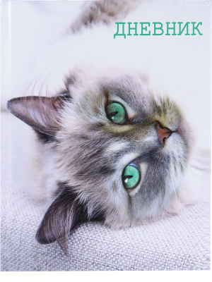 Дневник ст.кл. П-П Calligrata Кошка твердый 7БЦ 2967475 РАСПРОДАЖА