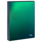Папка с 4-мя кольцами 40 мм А4 СТАММ 700 мкм ММ-31862 Хамелеон зеленый