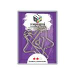 Головоломка металлическая Delfbrick DLM-31 Звезда 6 эл.