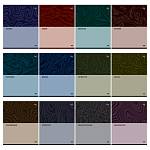 Комплект тем. тетрадей 48 л. 12 шт. БиДжи Single colour ТПК5ск48 63721