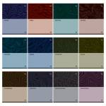 Комплект тем. тетрадей 48 л. 12 шт. БиДжи Single colour ТПК5ск48 63721