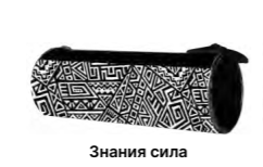 Пенал-тубус Знания сила на молнии ПТ-02