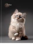 Дневник ст.кл. П-П Милый котик твёрд. 7БЦ Д48-9456