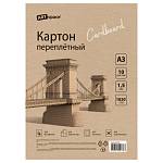 Картон переплетный А3 10 л.ArtSpace Пк10_06578
