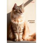 Блокнот-бизнес А5 80л. П-П Рыжий кот в лучах солнца 80-7581