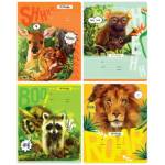 Тетрадь 24 л. (клетка) БиДжи Дикий мир 70 гр. 11742