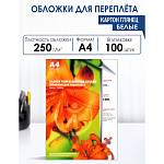 Лист А4 обложечный, картон А4 250 г/м белый 100 глянец 4513