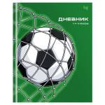 Дневник мл. кл. БиДжи Гол тверд. 7БЦ Д5т48_лм_вл 62270