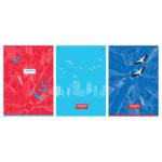 Тетрадь А4 96 л. (клетка) БиДжи С высоты полета Т4ск96_вл 12051