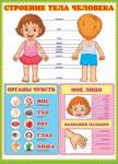 Плакат 0-02-195А Строение тела человека