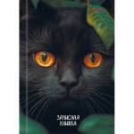 Записная книжка А6 96 л. П-П Взгляд черного кота 96-7563