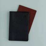 Обложка д/паспорта Черная 3-619/02