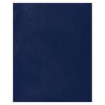 Тетрадь 48 л. (клетка) БиДжи бумвинил синий Т5бв48к_12310