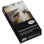 Краски акв. худож. 12 цв. Гамма Старый мастер палитра И Ибряева кюветы, мет.кор. 2,6мл. 200622 1112