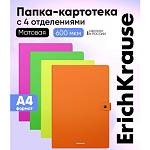 Папка на кнопке А4 4 отд. EK Matt Neon 54898 ассорти