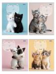 Тетрадь 12 л. (косая) П-П Милые парочки котиков 12-4159